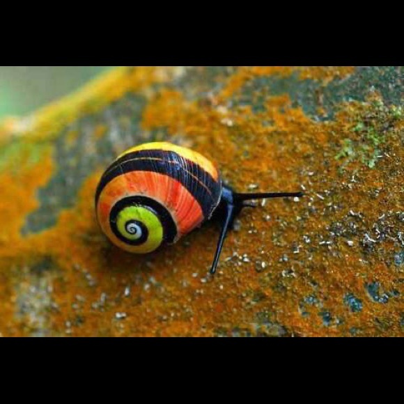 🌍five star seller - check my love notes - Picture 2 of 16